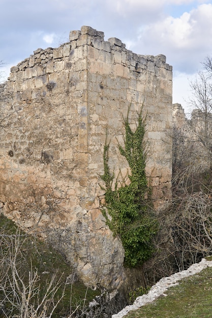 Tour de forteresse médiévale délabrée, entrelacée de lierre