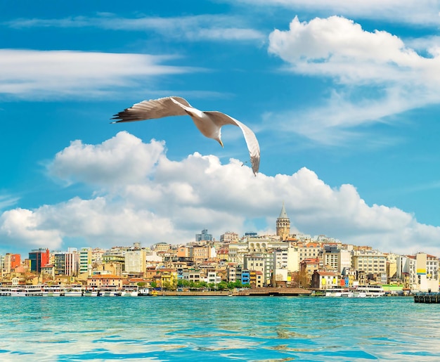 Tour de Galata et bateaux