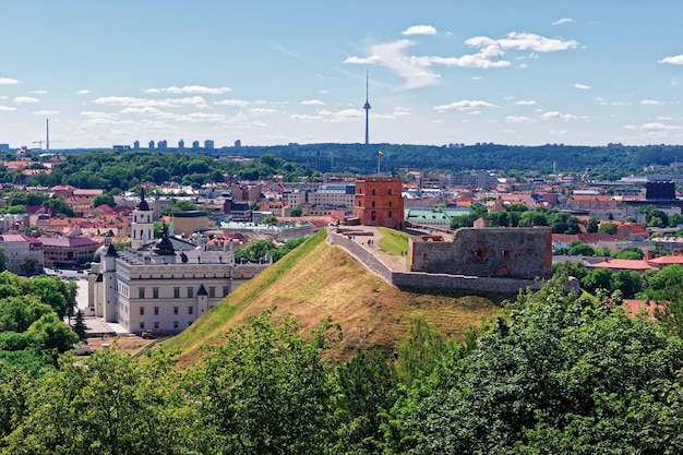 Tour de Gediminas sur la colline et château inférieur à Vilnius de Lituanie. La tour de Gediminas est également appelée château supérieur. La Lituanie est l'un des pays baltes de l'Europe de l'Est.
