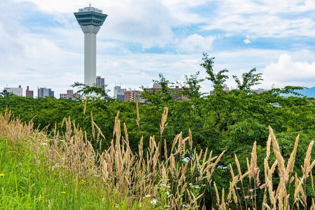 Photo la tour goryokaku en été, un jour ensoleillé, des nuages blancs et un ciel bleu. la tour est sur le pont de l'observatoire.
