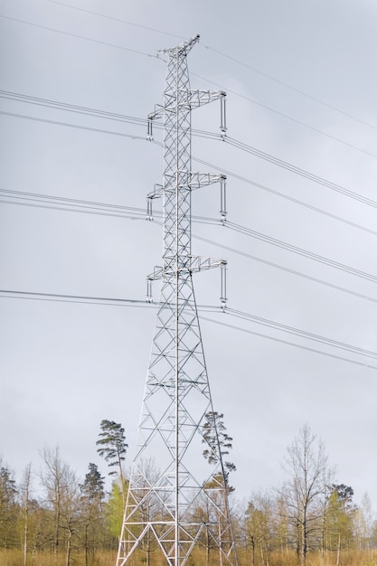 Tour à haute tension dans une zone forestière, image verticale