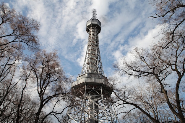 Tour métallique dans un parc