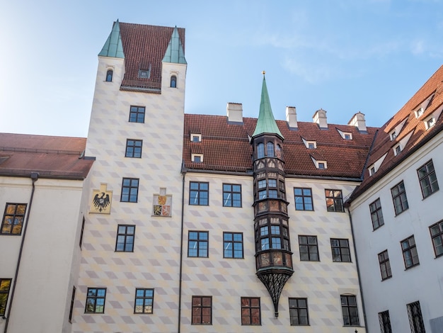 Tour de singe de vieille cour à Munich