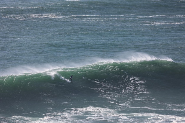 Un tour de surfeur sur la vague de la mer