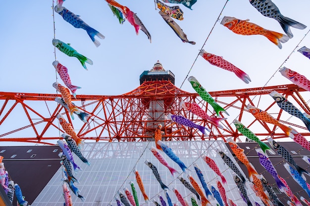 Tour De Tokyo Avec Koinoborii Au Japon