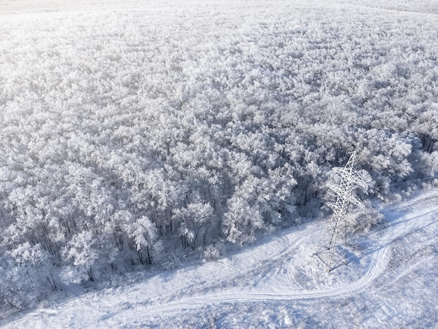 Tour de transmission de puissance à haute tension dans une forêt gelée en hiver.