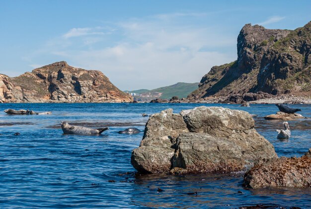 Tourisme et voyages en mer. Repos sur la mer.