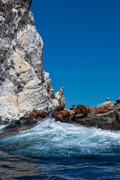 Tourisme et voyages en mer. Repos sur la mer.