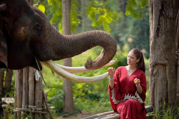 Une touriste asiatique nourrit un éléphant au Thai Elephant Education Center dans la province de Lampang en Thaïlande