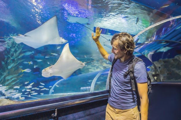 Touriste curieux regardant avec intérêt le requin dans le tunnel de l'océanarium