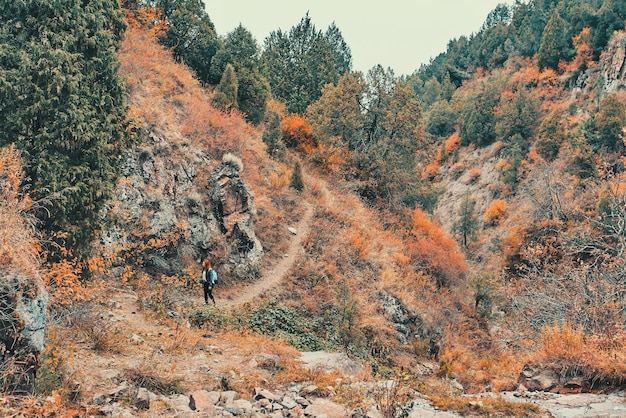 Touriste féminin marchant dans une forêt de montagne paysage de montagne coloré d'automne une jeune femme rousse...