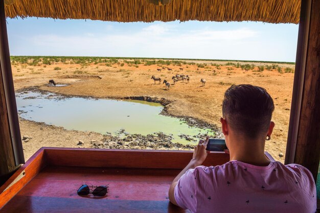 Un touriste filme la faune avec un smartphone dans le parc national d'etosha en namibie