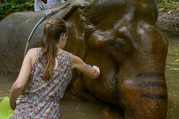 Touriste lavant un éléphant en Thaïlande