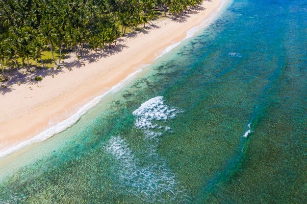 Touriste sur une plage tropicale aux Philippines