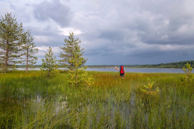 Un touriste avec un sac à dos et un bâton lors d'une randonnée traverse le marais des inondations jusqu'au lac