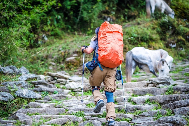 Touriste avec sac à dos dans les montagnes