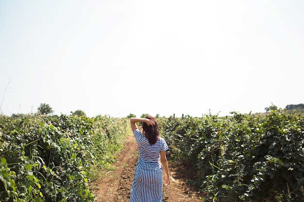 Une touriste se promène dans un vignoble Visite guidée de la plantation de raisin