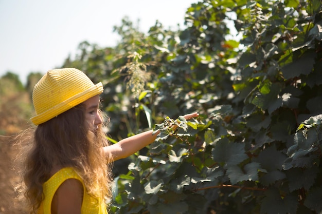 Une touriste se promène dans un vignoble Visite guidée de la plantation de raisin