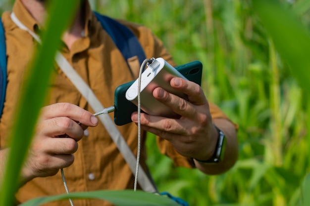 Le touriste tient un smartphone avec un chargeur portable dans ses mains. L'homme avec une banque d'alimentation charge le téléphone dans le contexte du champ de maïs.