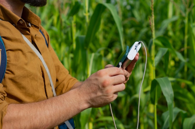 Le touriste tient un smartphone avec un chargeur portable dans ses mains. L'homme avec une banque d'alimentation charge le téléphone dans le contexte du champ de maïs.