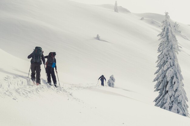 Touristes avançant sur la photo de paysage de skis