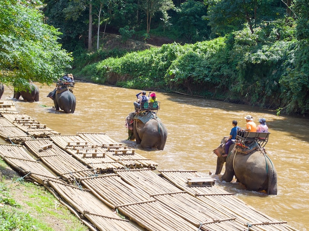 Touristes à cheval sur le trekking d&#39;éléphants en Thaïlande