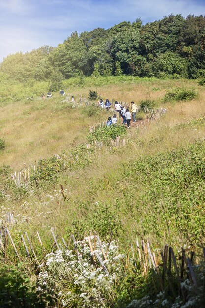 Photo touristes marchant dans la prairie dans les montagnes au kew mae pan, chiang mai, au nord de la thaïlande