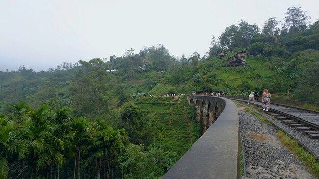 Les touristes marchent sur le pont avec le chemin de fer dans la jungle action de randonnée le long de l'ancien pont de pierre dans la Jungle