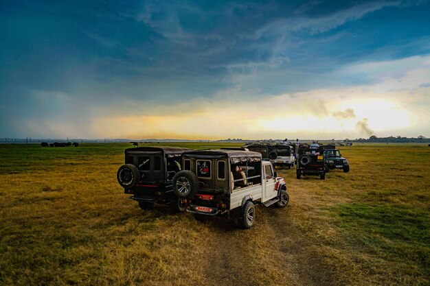 Photo tournée de safari dans le parc national de minelia