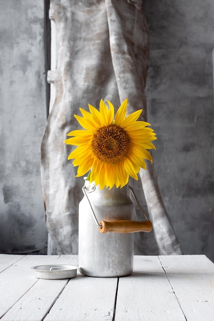 Tournesol dans un vase sur une table de couleur dans les rayons du soleil en automne