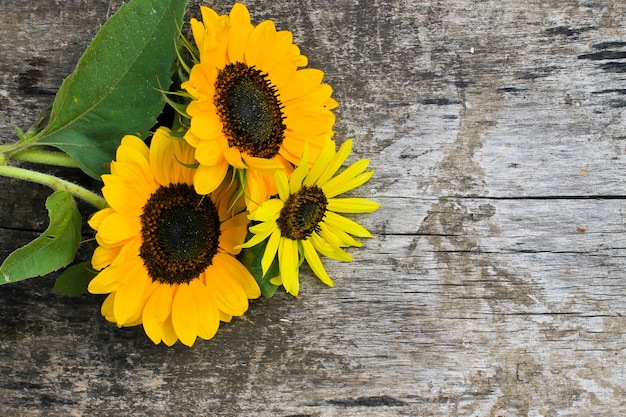 Tournesol décoratif sur le fond en bois