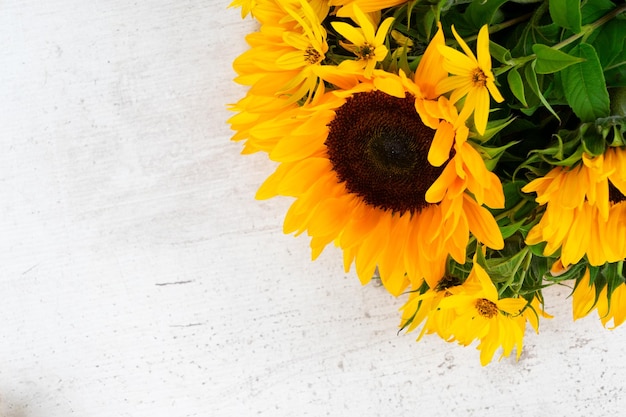 Tournesols sur blanc