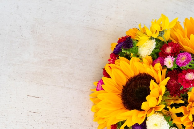 Tournesols Sur Blanc