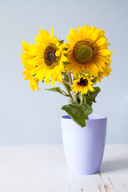 Tournesols sur fond bleu clair