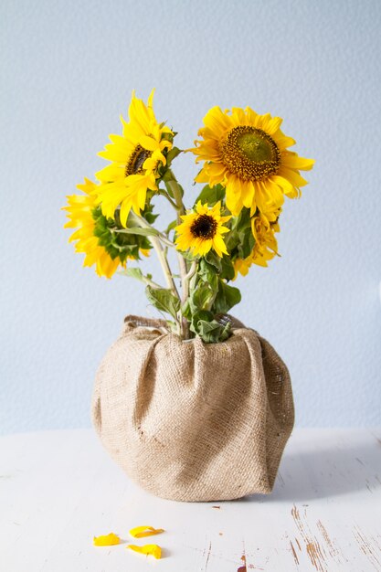 Tournesols Sur Fond Bleu Clair