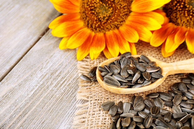 Tournesols et graines avec cuillère sur fond de bois