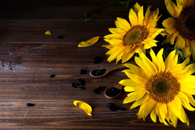 tournesols jaunes avec des graines