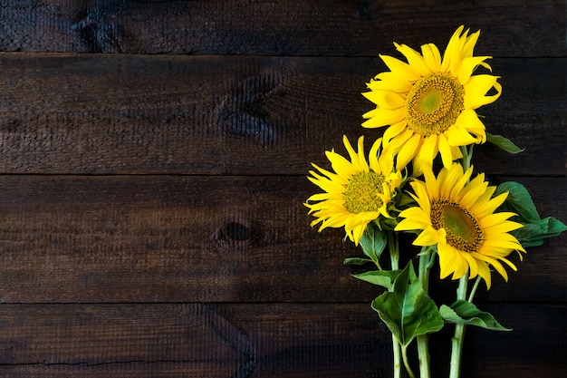 Tournesols jaunes vif sur une planche en bois rustique naturelle