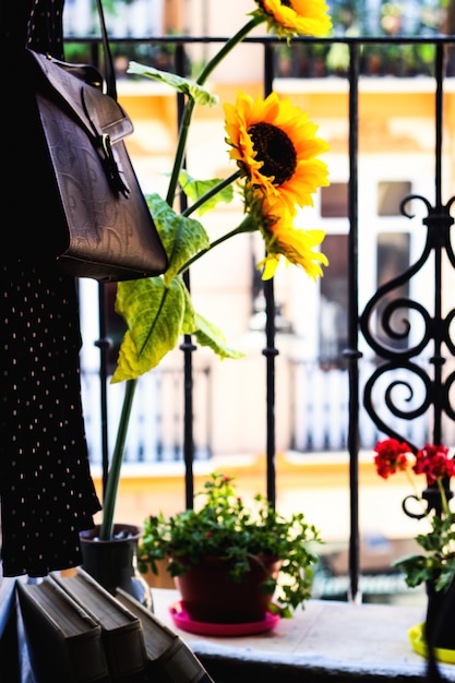 Photo tournesols et livres