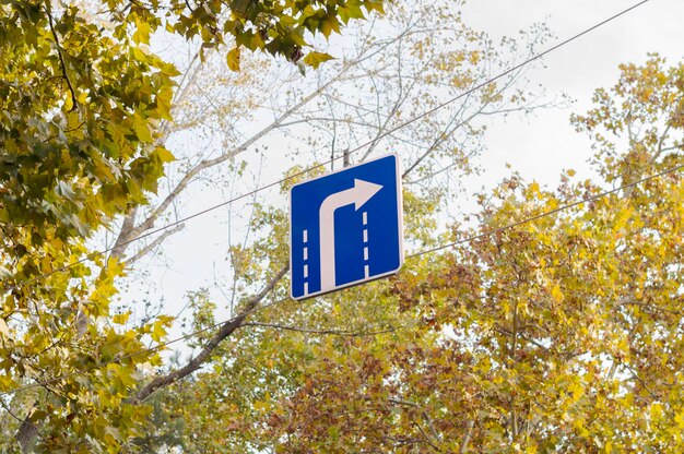 Tournez à droite un panneau de signalisation avec une flèche suspendue en l'air sur les arbres verts et le ciel en arrière-plan