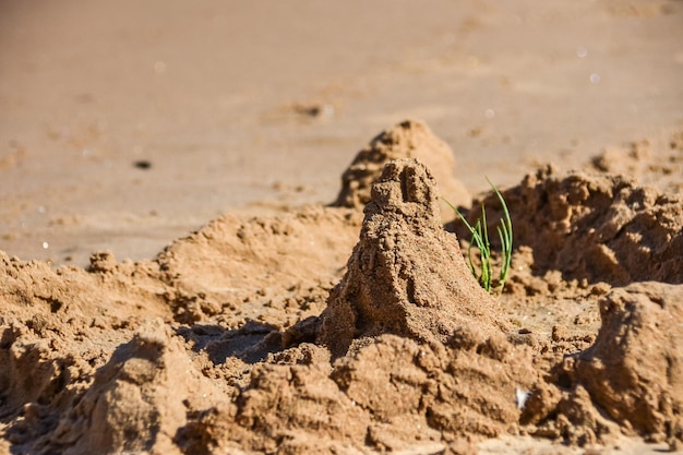 Tours de sable sur le rivage