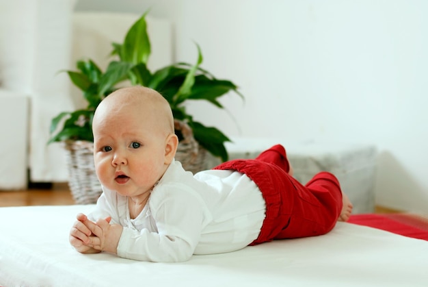 Photo le tout-petit apprend à ramper