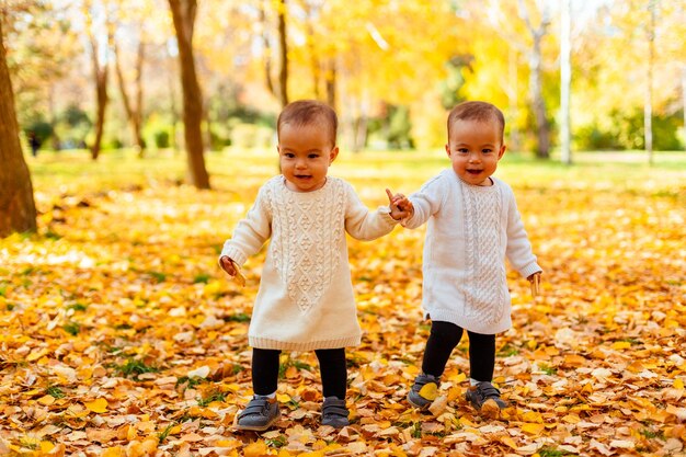 Tout-petit sœurs jumelles se tenant la main dans le parc