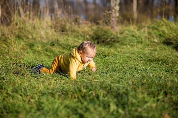 Tout-petit tout-petit dans une veste jaune rampe sur l'herbe dans un parc d'automne, l'été indien.