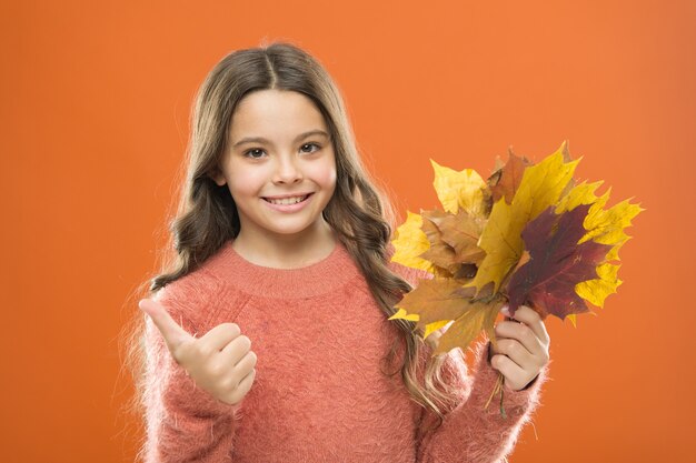 Tout temps est bon. Pouce en l'air. automne. feuilles mortes. petite fille en pull. Ambiance d'automne. heureuse petite fille avec feuille d'érable. temps scolaire. bonheur d'enfance. mode enfant d'automne. Changement météorologique.