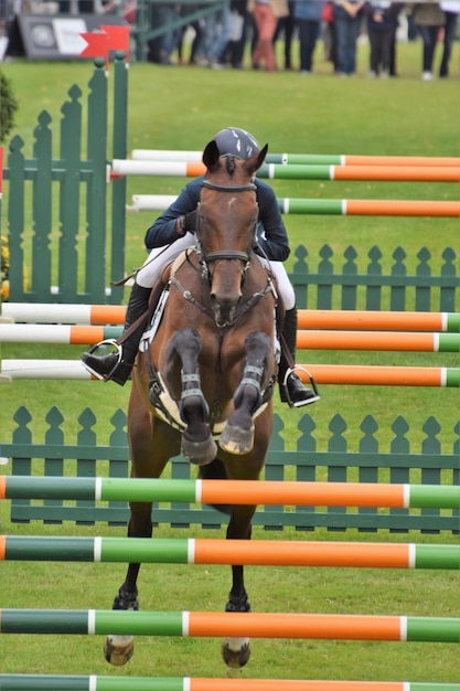 Photo toute la longueur du cheval sur l'herbe