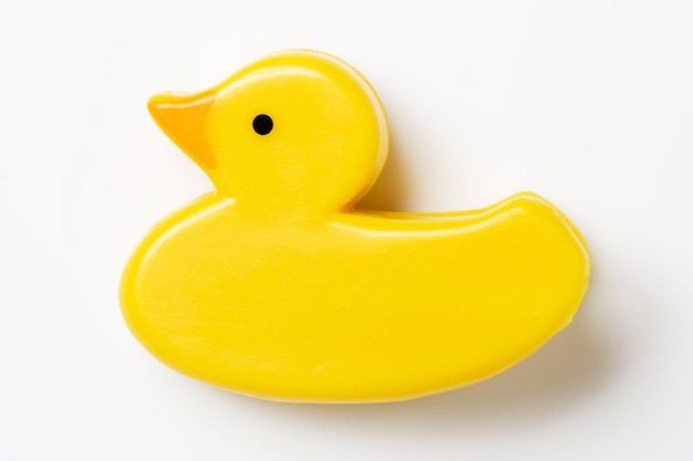 Toy canard