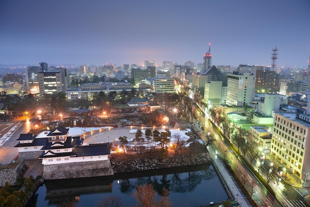 Toyama Japon Downtown City Skyline