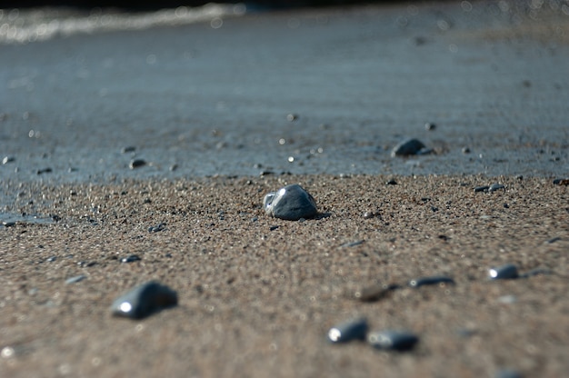 Tracer des pierres sur la plage près de la mer.