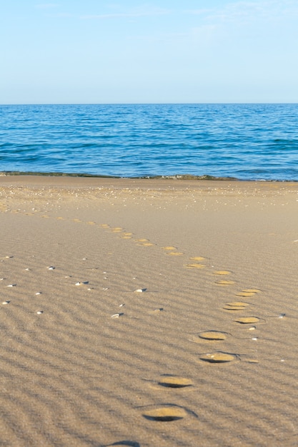 Traces d'animaux dans le sable. Texture de sable. Fond de sable brun